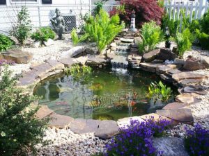 Cómo mantener cristalina el agua del estanque del jardín