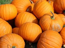 Cómo hacer buñuelos de auyama o calabaza