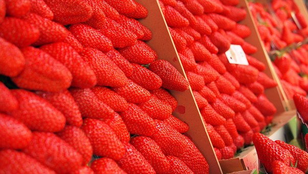 strawberries-890382__340