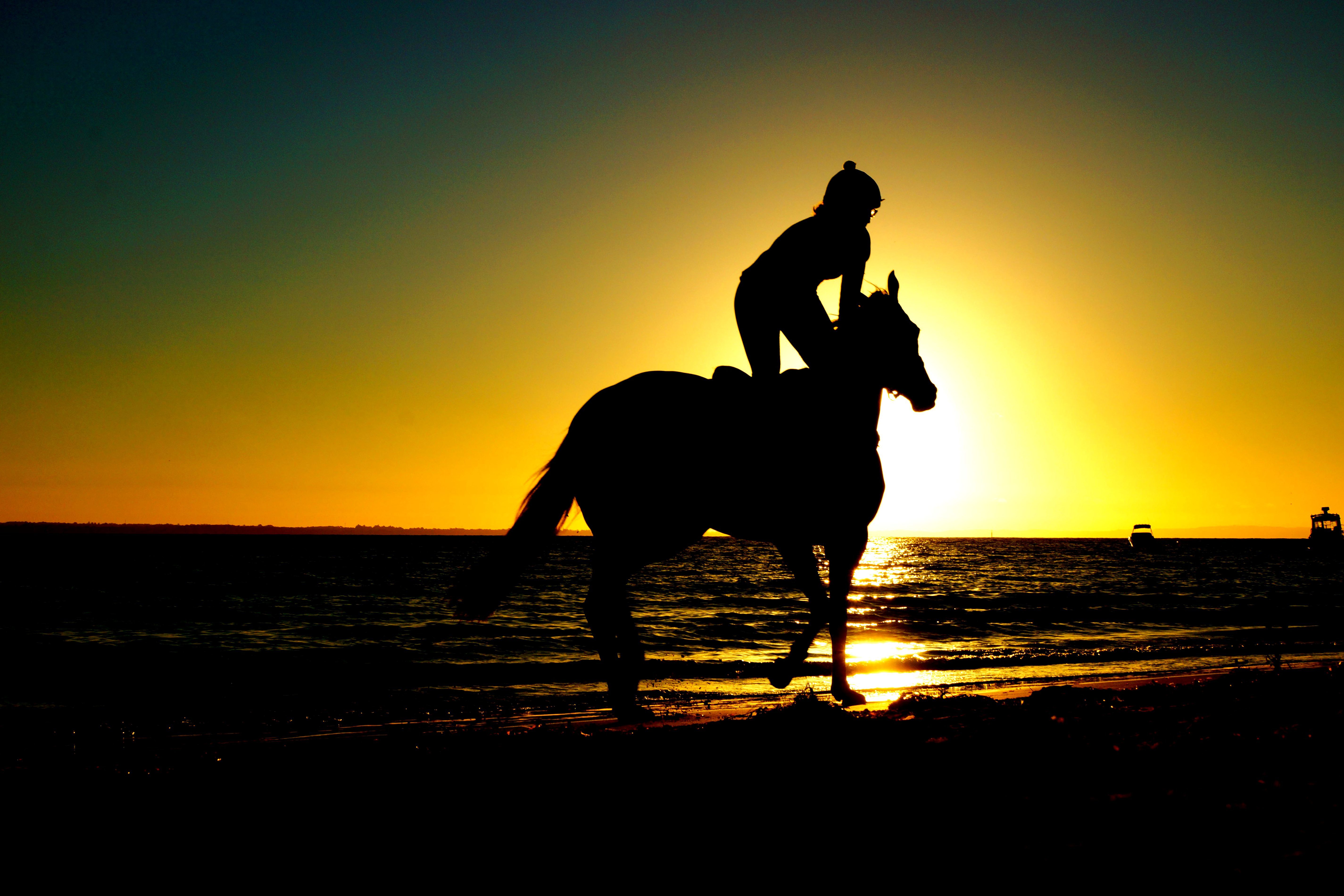 person, riding, horse, into, sunset