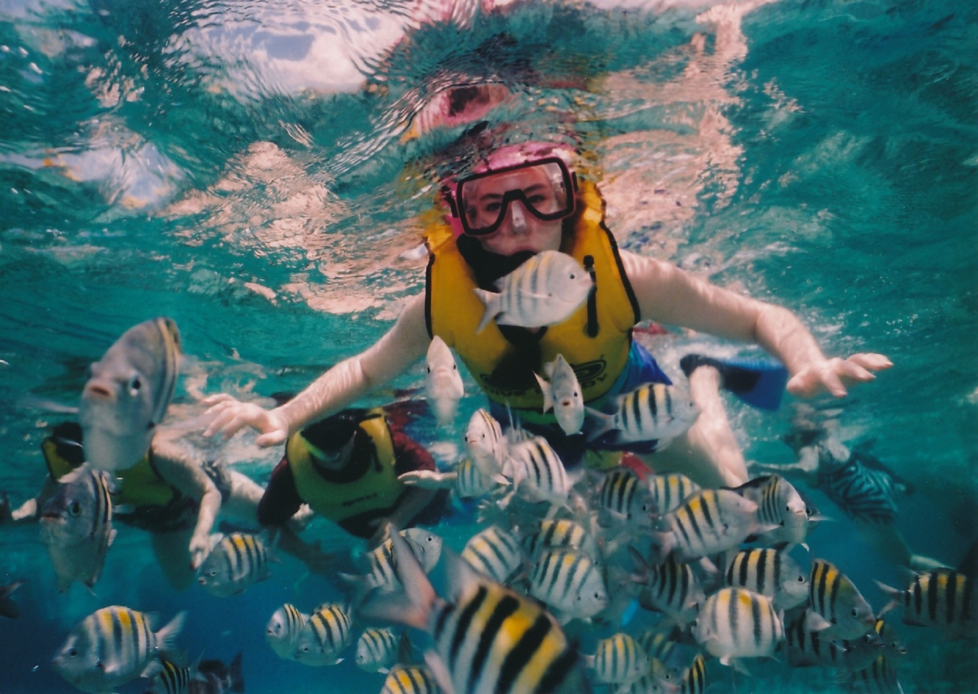 snorkler-among-reef-fish