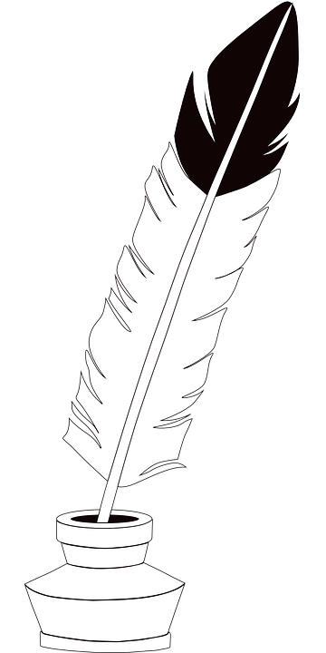 feather-608956_960_720