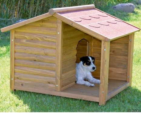 Cómo construir una casa para perros