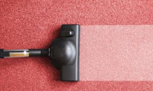 Cómo limpiar la alfombra 1
