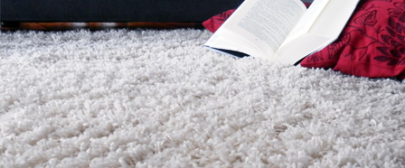 Cómo limpiar la alfombra