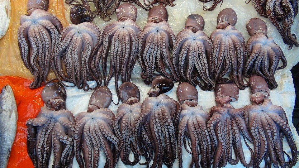¿Cómo preparar calamares rebozados?